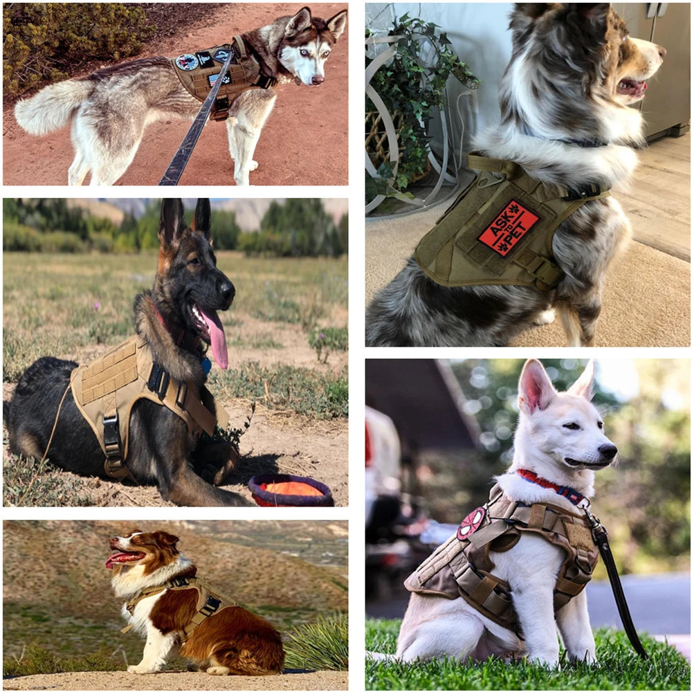 Large Dog Collar Military Harness