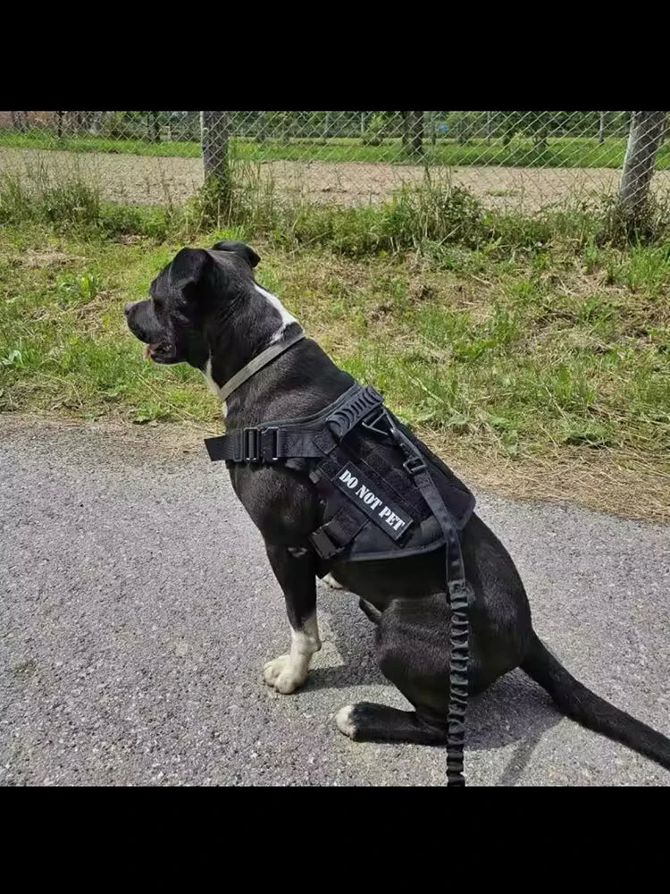 Large Dog Collar Military Harness