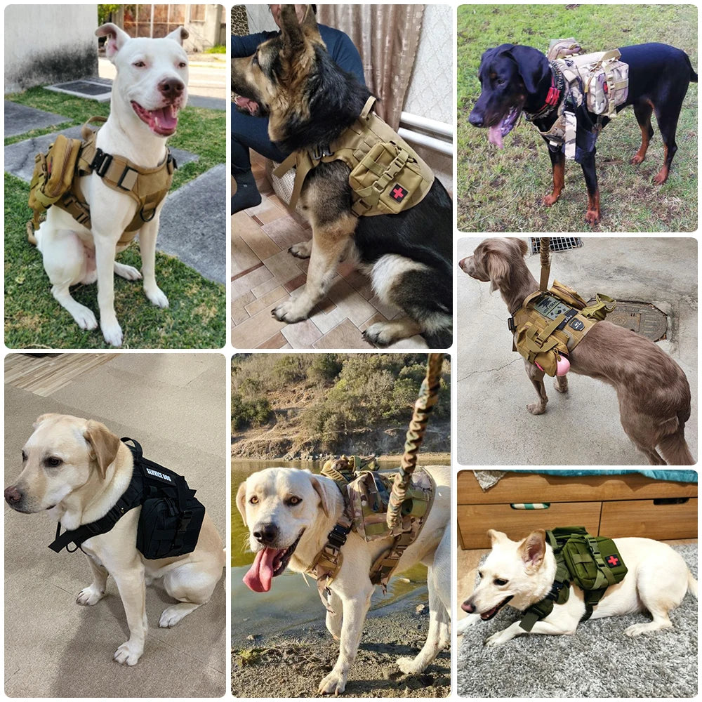 Large Dog Collar Military Harness