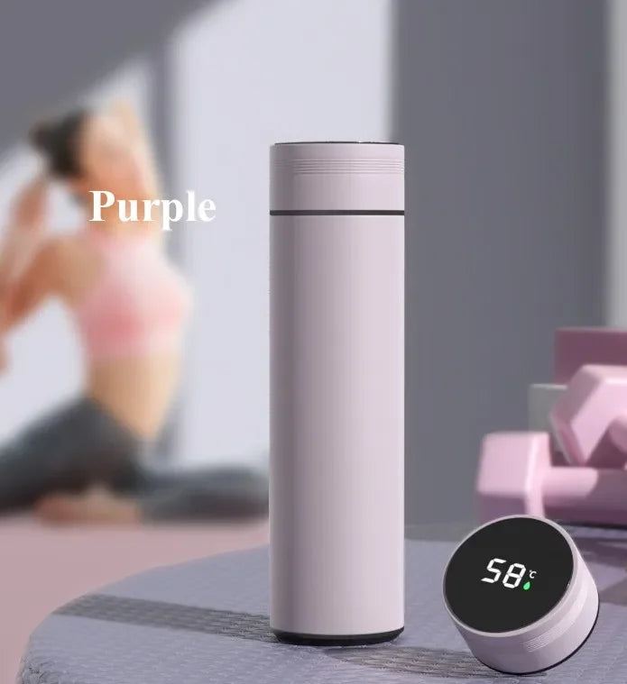 500ML Temperature Display Thermos Cup Stainless Steel
