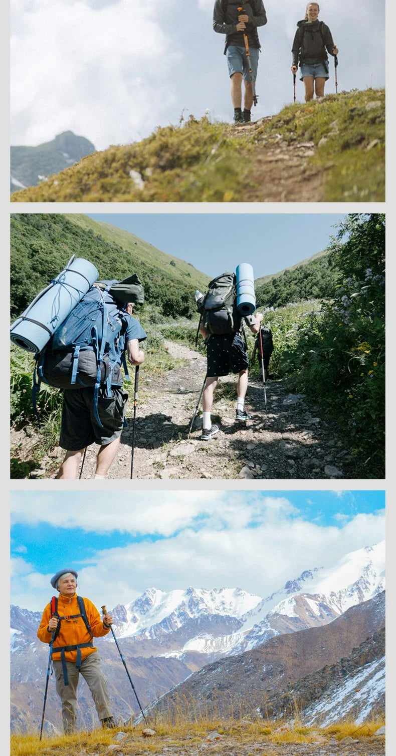 2PCS Trekking Poles Walking Sticks