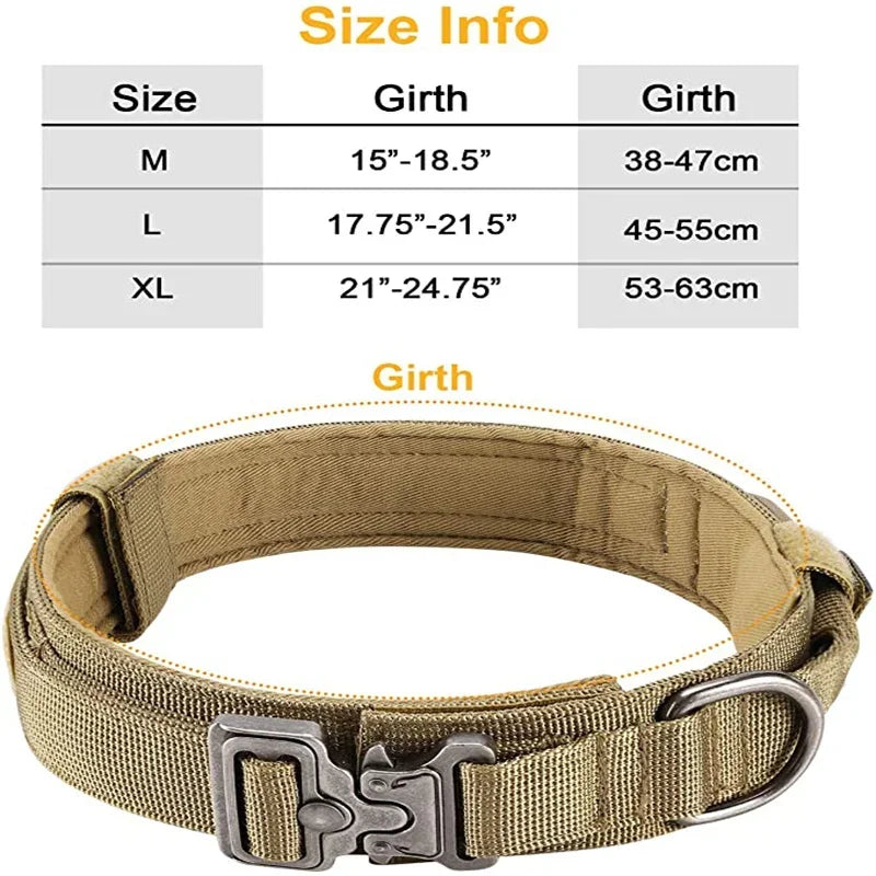 Large Dog Harness And Leash Set