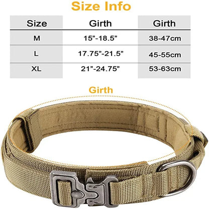 Large Dog Harness And Leash Set