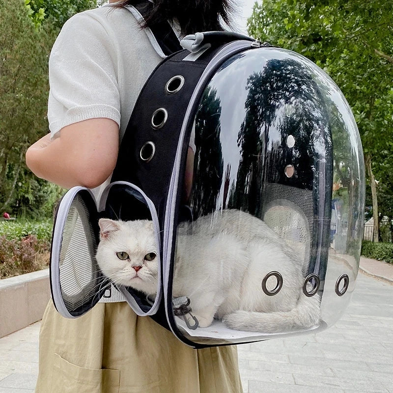 Pet Carrying Bag