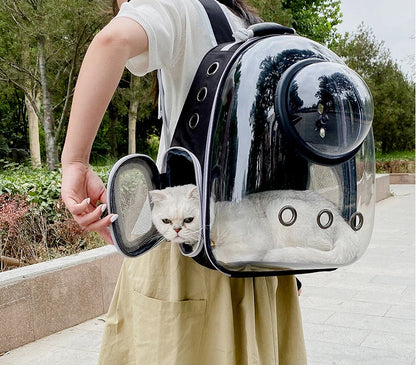 Pet Carrying Bag