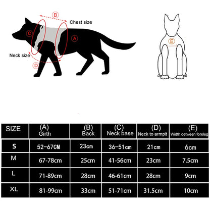 Large Dog Harness And Leash Set