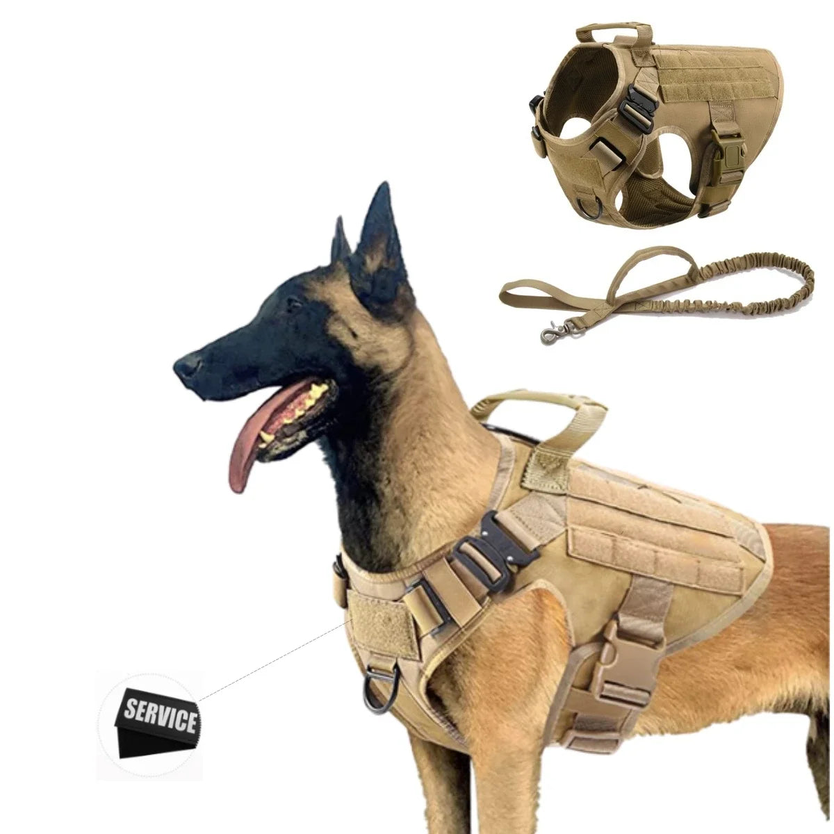 Large Dog Harness And Leash Set