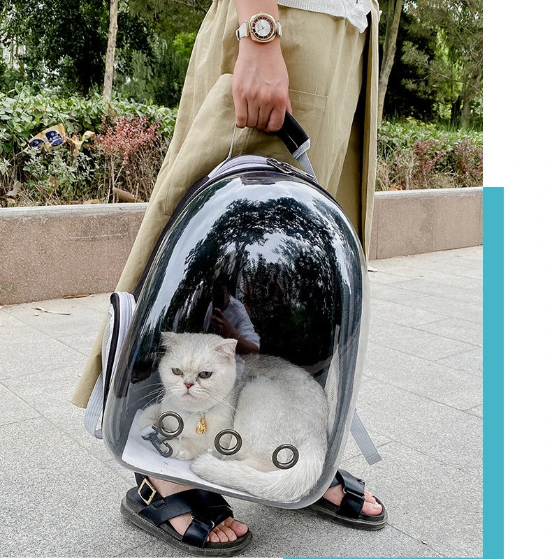 Pet Carrying Bag