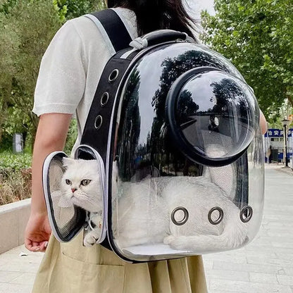 Pet Carrying Bag