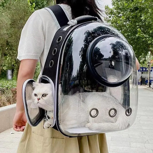 Pet Carrying Bag