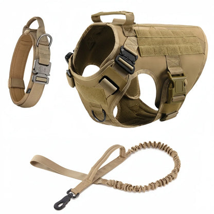 Large Dog Harness And Leash Set