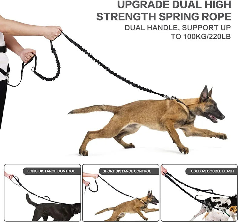 Dog Training Waist Bag Dogs