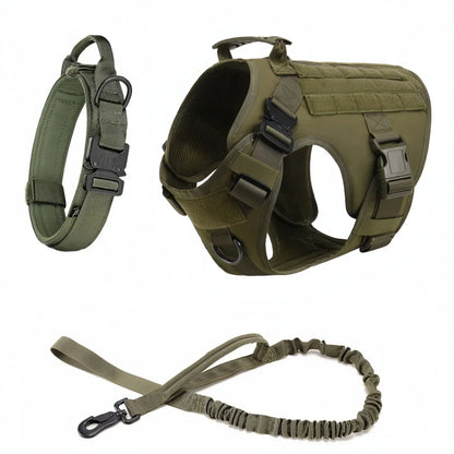 Large Dog Harness And Leash Set