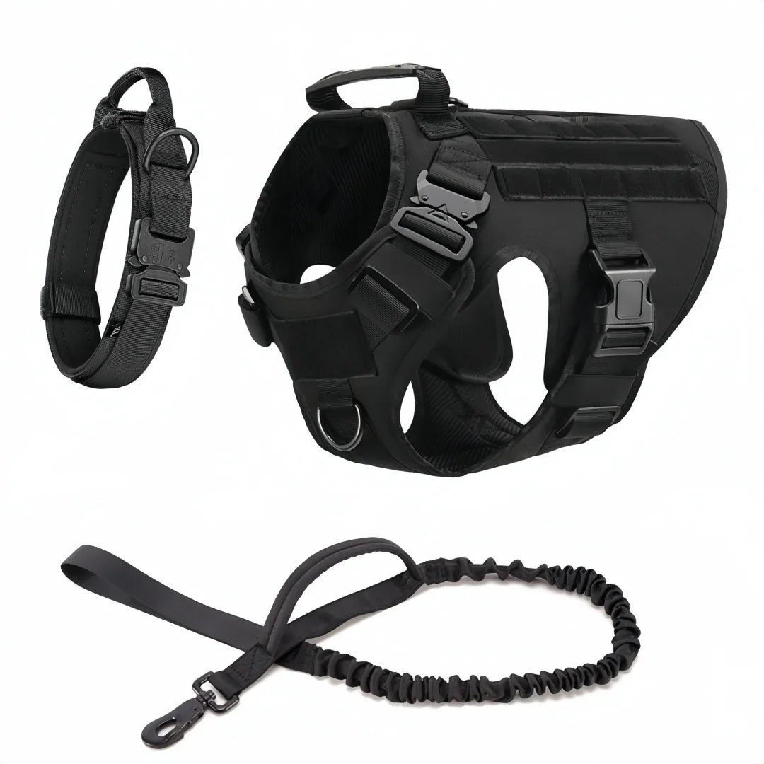 Large Dog Harness And Leash Set