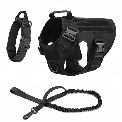 Large Dog Harness And Leash Set