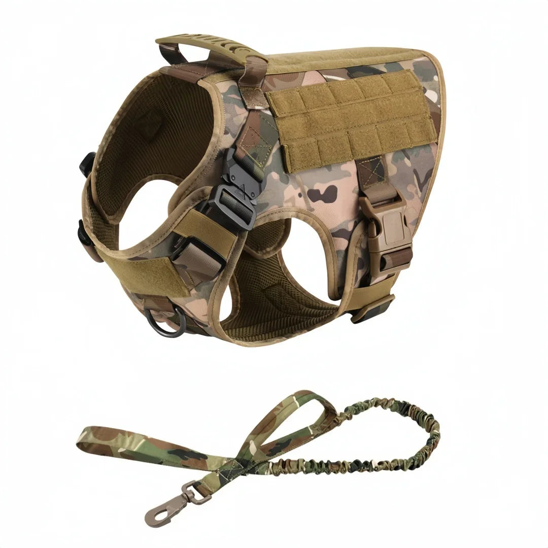 Large Dog Harness And Leash Set