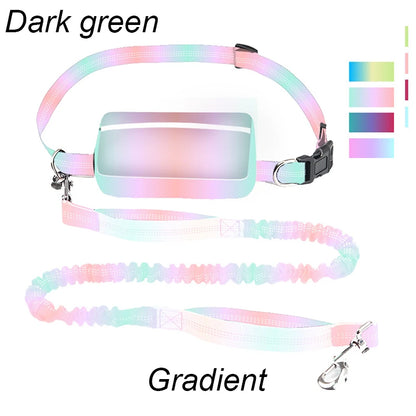 Multifunctional Sports Waist Bag