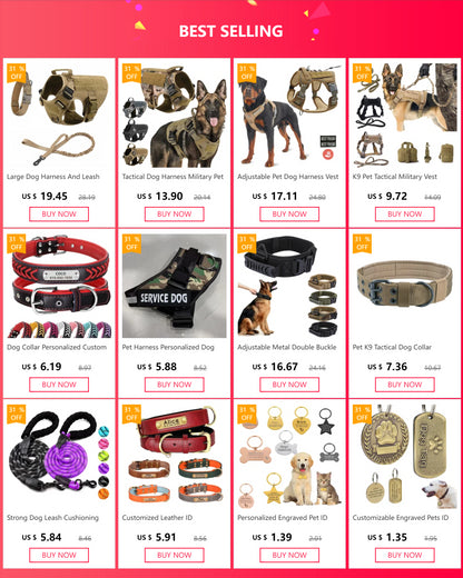 Large Dog Harness And Leash Set