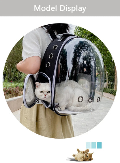 Pet Carrying Bag