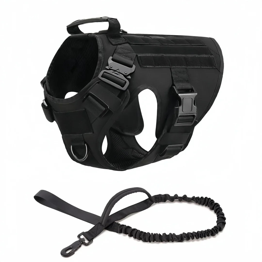 Large Dog Harness And Leash Set
