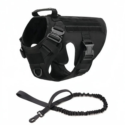 Large Dog Harness And Leash Set