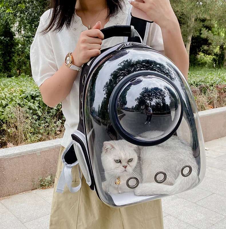 Pet Carrying Bag