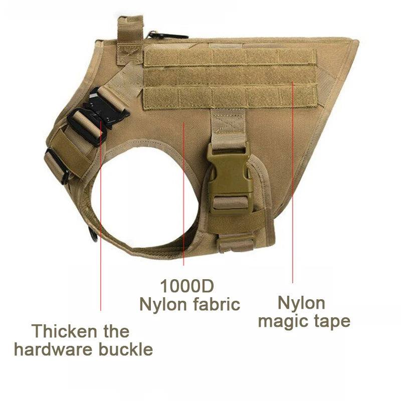 Large Dog Harness And Leash Set