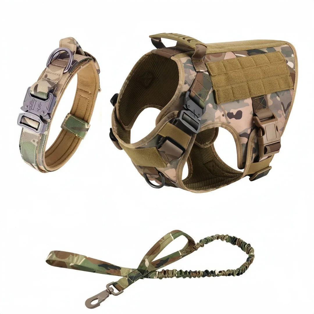 Large Dog Harness And Leash Set