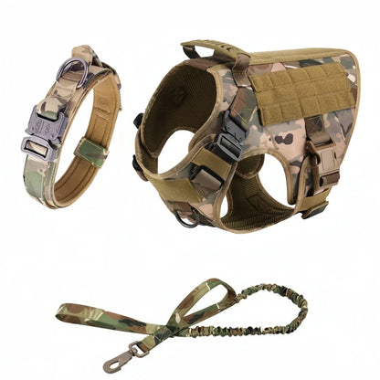 Large Dog Harness And Leash Set