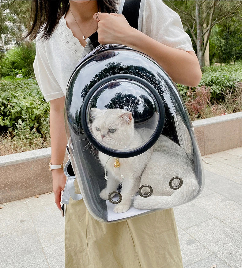 Pet Carrying Bag