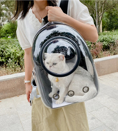 Pet Carrying Bag