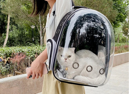 Pet Carrying Bag