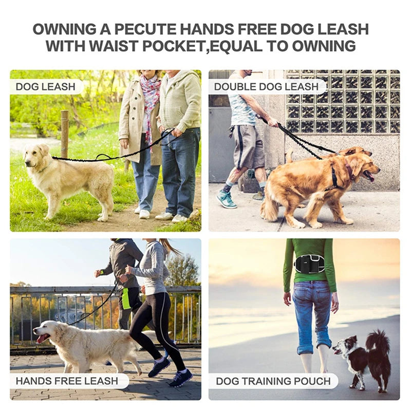 Dog Training Waist Bag Dogs