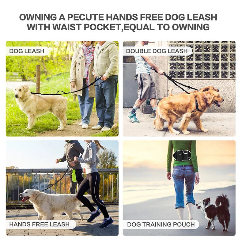 Dog Training Waist Bag Dogs