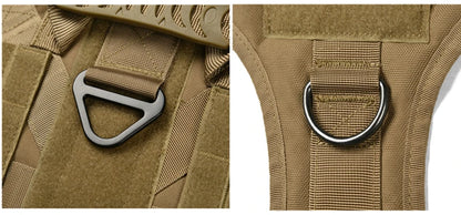 Large Dog Harness And Leash Set