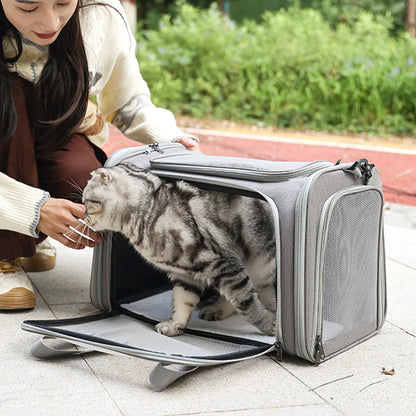 Portable Dog Cat Carrier Bag