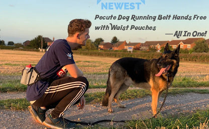 Dog Training Waist Bag Dogs