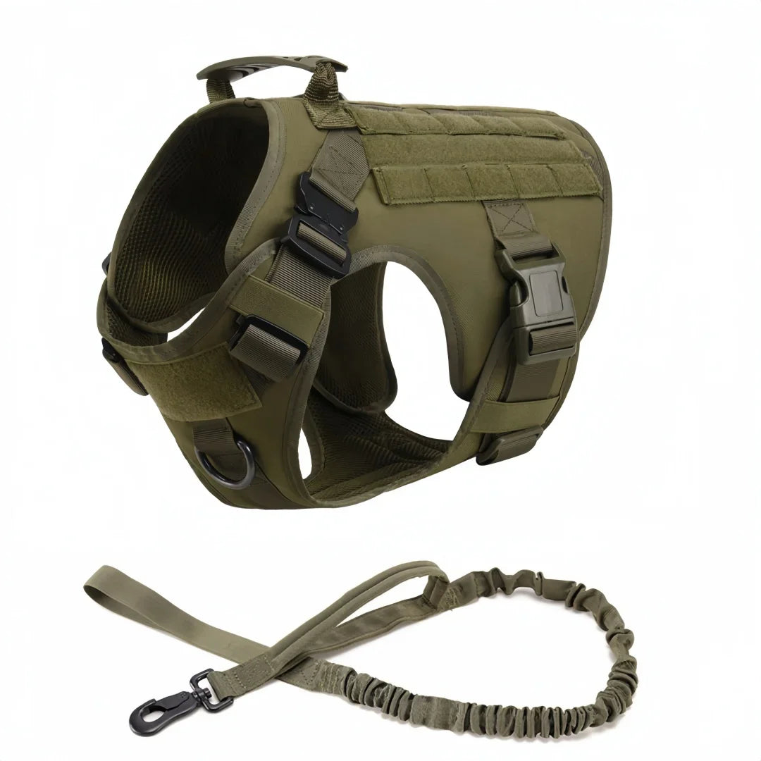 Large Dog Harness And Leash Set