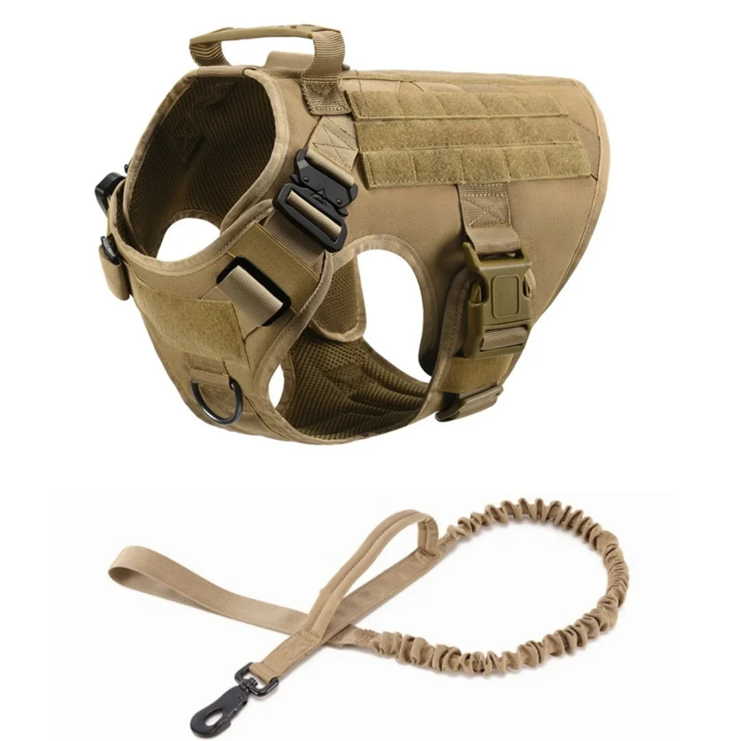 Large Dog Harness And Leash Set